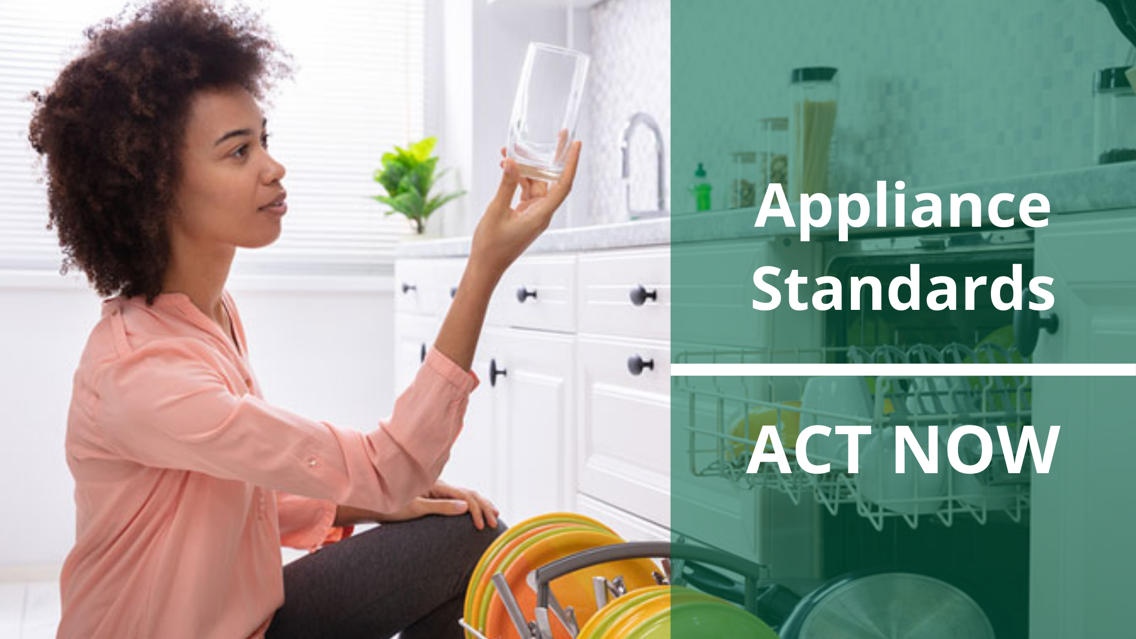 Image showcasing Appliance Standards & Shave the Peak: Action Week for Efficiency
